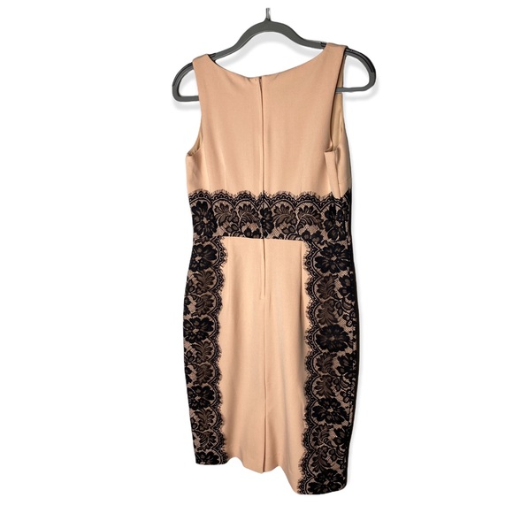The Limited Blush w/ Black Lace Sleeveless Mid length Dress Women's Size 4 - Picture 5 of 9